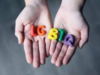 LGBTQ+ Carer Needs