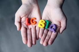 LGBTQ+ Carer Needs