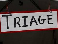 Directory Independent Living Triage