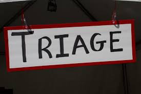 Directory Independent Living Triage